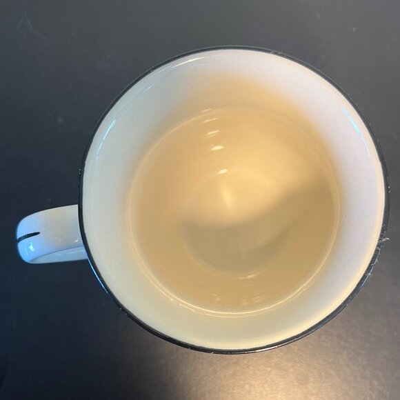 COST PLUS WORLD MARKET Cactus Pedestal Ceramic Mug / Cup ~ Embossed Blossoms - Picture 9 of 10